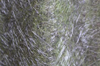 Ulceby Skitter fibreglass roof work